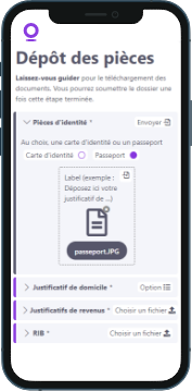 Application mobile Streamline for Business